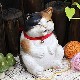 ʢ ͤʻӡˤΡھƤ֤ͤʪok-0025