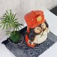 ھ ̤ ͹إݥì Ȣ ھƤ̤ ﵯʪΥ̥ ƫ勵̥ ̤ʪ 䤭 餭䤭 Ƥʪ ì ̥  ݥì raccoon dog ì  ta-0395