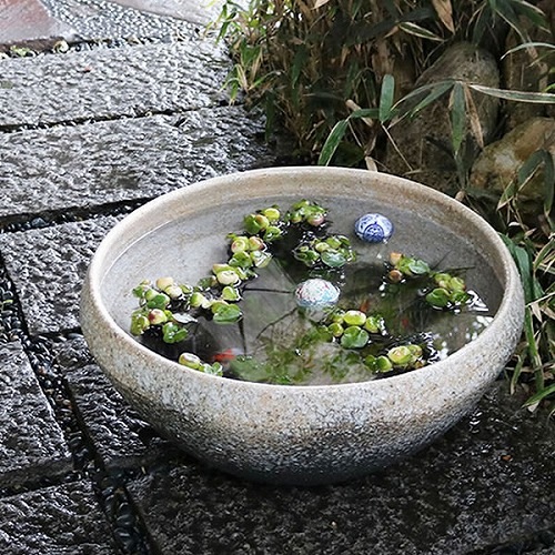 緿ȭҤͤȭھơȭȭˤᡡ20椹ȭsu-0223