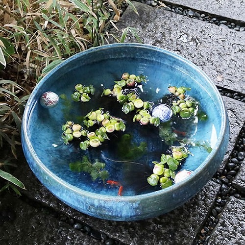 緿ȭҤͤȭھơȭȭˤᡡ20椹ȭsu-0224