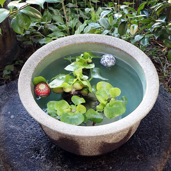 15泥ؿȭھơȭȭˤᡡƫ凉ȭȭȭsu-0055