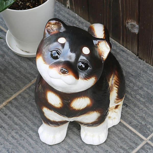 ���ھ� ���Ƹ�������� ��ʪ ���̤���ʪ �� ������ʪ ok-0085