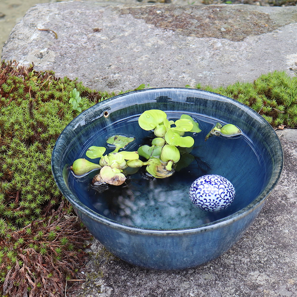 10֥롼ȭھơȭȭˤ ȭƫȭsu-0105