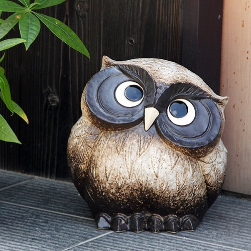 ���ھƤ��դ�������9��󤫤����դ�����(ʴ����)��ƫ��ե�������ʪ��fu-0138��