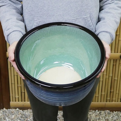 10�����ο���ϡȭ�����ھơ����ȭ�������ȭ�ˤ������su-0107��