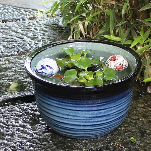 10�����ο���ϡȭ�����ھơ����ȭ�������ȭ�ˤ������su-0107��