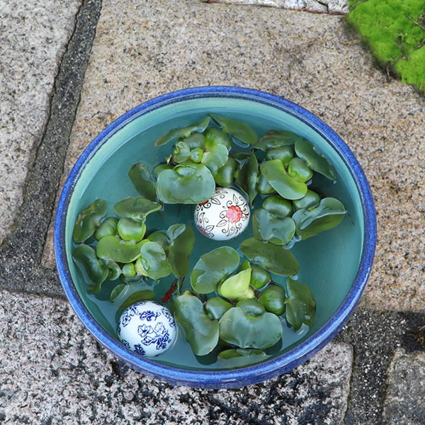 11ʥޥȭھơȭȭˤᡡƫ凉ȭȭȭsu-0275