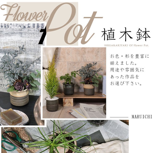 ��3����3���������餪����ĺ���ޤ��ۿ��ھ� ����ȭ 2.5〜3.5�� ���٤�9���� �ץ�ͥåȥե��ݥå� sa-0335