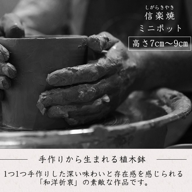 ��3����3���������餪����ĺ���ޤ��ۿ��ھ� ����ȭ 2.5〜3.5�� ���٤�9���� �ץ�ͥåȥե��ݥå� sa-0335