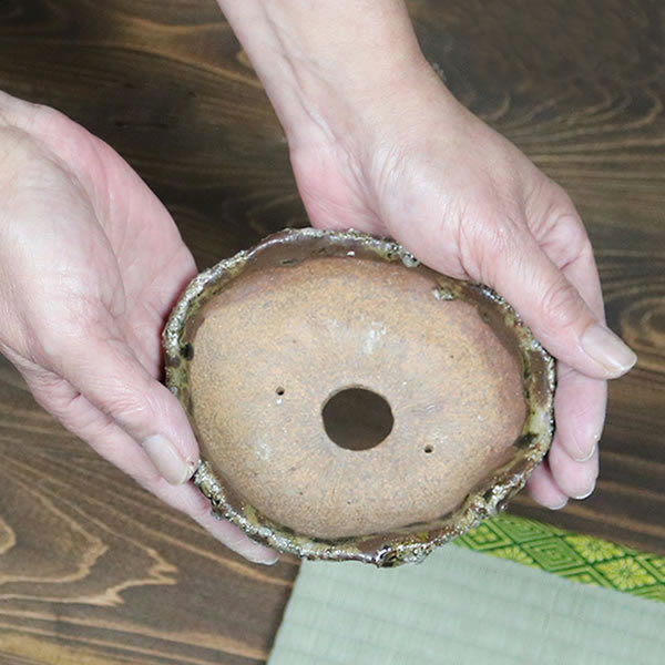 ����ȭ��������ȭ��ȡ����Ĺ��ͺ���ھƤ�����ȭ ��Ť��껳��ȭ ��� ȭ���ڰ��ʺ��ȭ��[sa-0300]