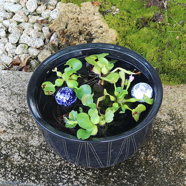 ʱ߷֥åΩȭھơȭȭˤᡡƫ凉ȭȭȭsu-0250