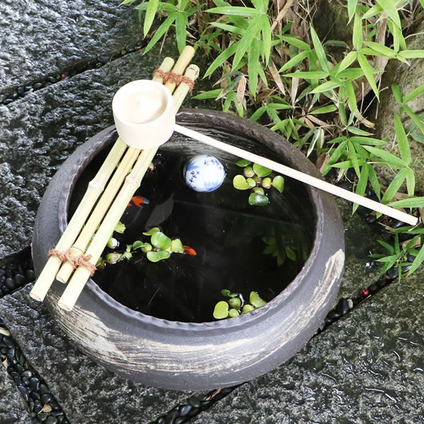 ���ھƤ������Ϥ��ܤĤ��Ф�(�ݡ������դ�)������ƫ��ȭ����tu-0017��