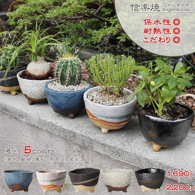 ���ھ� ����ȭ ƫ�� ������� ����ȭ �ե��ݥå� ���ܥƥ�ȭ ¿��ȭ �ץ�󥿡� �� ȭ���� �ߺ�ȭ ������ȭ ȭ �Ƥ�ʪ ���٤�5�� ­�դ�����ȭ sa-0334