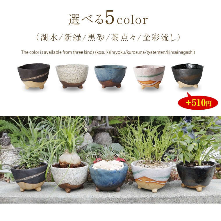 ���ھ� ����ȭ ƫ�� ������� ����ȭ �ե��ݥå� ���ܥƥ�ȭ ¿��ȭ �ץ�󥿡� �� ȭ���� �ߺ�ȭ ������ȭ ȭ �Ƥ�ʪ ���٤�5�� ­�դ�����ȭ sa-0334