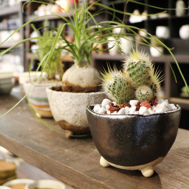 ���ھ� ����ȭ ƫ�� ������� ����ȭ �ե��ݥå� ���ܥƥ�ȭ ¿��ȭ �ץ�󥿡� �� ȭ���� �ߺ�ȭ ������ȭ ȭ �Ƥ�ʪ ���٤�5�� ­�դ�����ȭ sa-0334