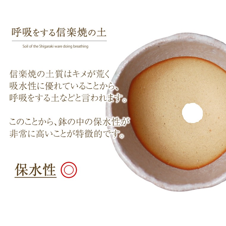 ���ھ� ����ȭ ƫ�� ������� ����ȭ �ե��ݥå� ���ܥƥ�ȭ ¿��ȭ �ץ�󥿡� �� ȭ���� �ߺ�ȭ ������ȭ ȭ �Ƥ�ʪ ���٤�5�� ­�դ�����ȭ sa-0334