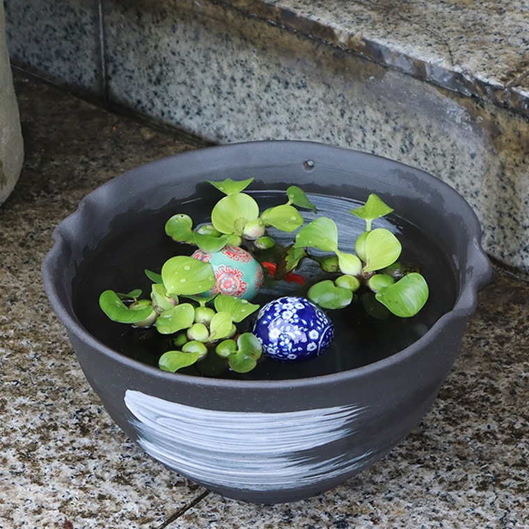 ھ ȭ Сեդ su-0282