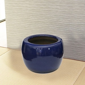 ���ھ�10��ʤޤ���ȭ��ƫ��ҤФ�/����/�ꤢ�֤�/���ھƤҤФ���hi-0040��