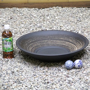 15����ϥ���������ȭ�����ھơ����ȭ�������ȭ�ˤ������su-0187��