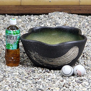 10沫إϥַȭھơȭȭˤsu-0150