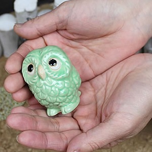 ���ھƤ��դ�����������դ�����(�п�)��ƫ��ե�������ʪ��fu-0127��