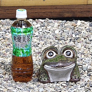 ���ھơ���Ҥͤ���ܤ�����(�ߥ�)���ﵯʪ�Υ������ka-0036��