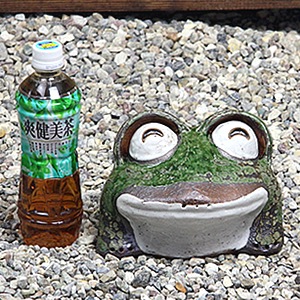 ھơ7ҤͤФܳﵯʪΥka-0043