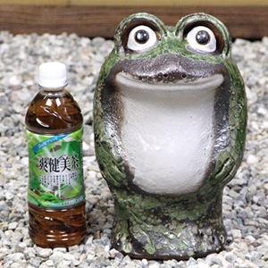 ھơΩ(ߥ)ﵯʪΥka-0060