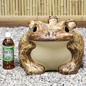 ���ھơ�18���ɤ���դ������ﵯʪ�Υ������ka-0062��