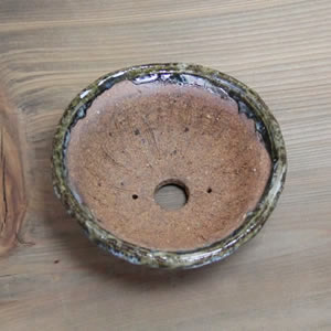 ����ȭ��������ȭ��ȡ����Ĺ��ͺ���ھƤ�����ȭ���ڰ��ʺ��ȭ��[sa-0268]