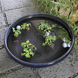 緿ʤޤȭҤͤȭھơȭȭˤᡪ祵ȭsu-0206