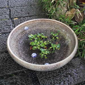 緿ѿȭҤͤȭھơȭȭˤᡪ祵ȭsu-0207