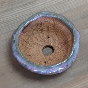 ����ȭ��������ȭ��ȡ����Ĺ��ͺ���ھƤ�����ȭ���ڰ��ʺ��ȭ��[sa-0283]