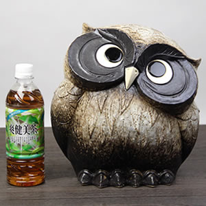 ���ھƤ��դ�������9��󤫤����դ�����(ʴ����)��ƫ��ե�������ʪ��fu-0138��