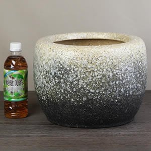 ھ10ѲȭƫҤФ//ꤢ֤/ھƤҤФhi-0028