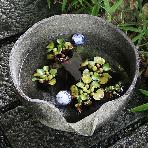 ҤͤȭھƤȭȭȭˤ⤪ᡪƫ凉ȭsu-0221