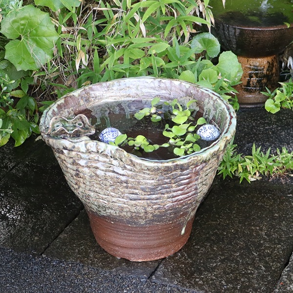 ǱƸդ()ȭھơȭȭˤsu-0084