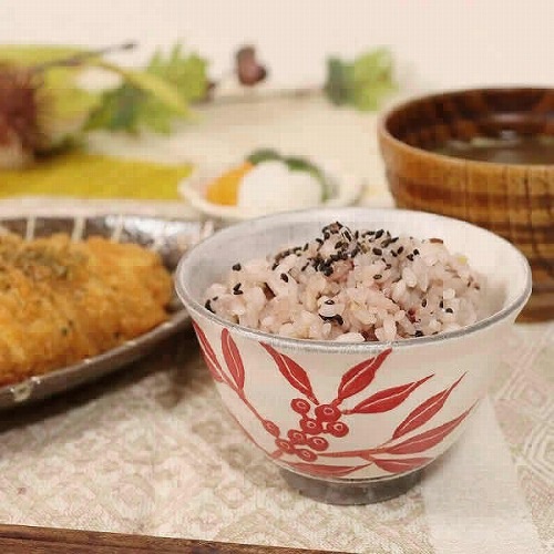 信楽焼 南天(赤) 飯碗 茶碗