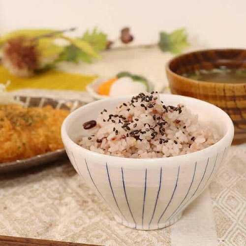 信楽焼 青ライン 飯碗 茶碗