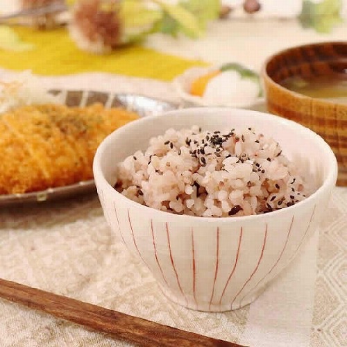 信楽焼 赤ライン 飯碗 茶碗