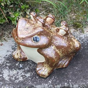 ���ھơ�12���ɤ���դ������ﵯʪ�Υ������ka-0022��