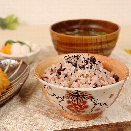 信楽焼 緋色ぶどう飯碗(小) 飯碗 茶碗