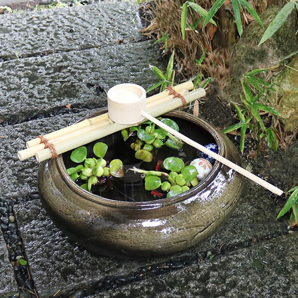 ĤФĥХȭȭƫھơȭȭȭ