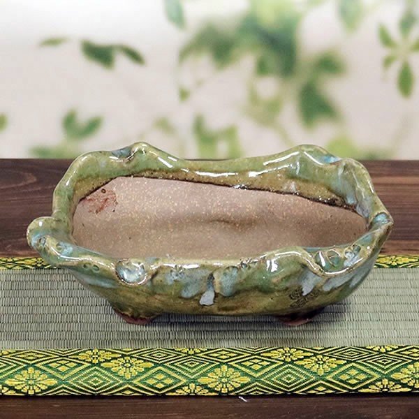 ����ȭ��������ȭ��ȡ����Ĺ��ͺ���ھƤ�����ȭ ��Ť��껳��ȭ ��� ȭ���ڰ��ʺ��ȭ��[sa-0311]