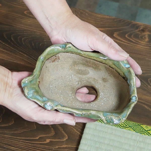 ����ȭ��������ȭ��ȡ����Ĺ��ͺ���ھƤ�����ȭ ��Ť��껳��ȭ ��� ȭ���ڰ��ʺ��ȭ��[sa-0311]