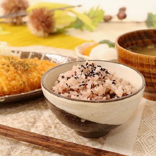 信楽焼 たぬき(赤) 飯碗 茶碗