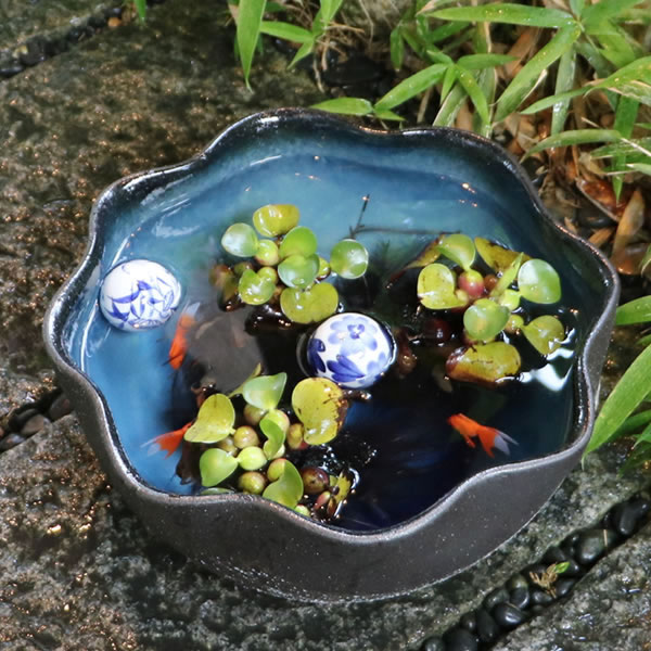 12إϥַȭھơȭȭˤsu-0149