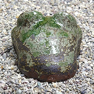 ���ھơ�9���Ҥͤ�Ф��ܳ����ﵯʪ�Υ������ka-0046��