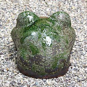 ���ھơ�10���Ҥͤ���ܤ����롡�ﵯʪ�Υ������ka-0040��