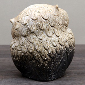 ���ھƤ��դ�������5��󤫤����դ�����(ʴ��)��ƫ��ե�������ʪ��fu-0132��